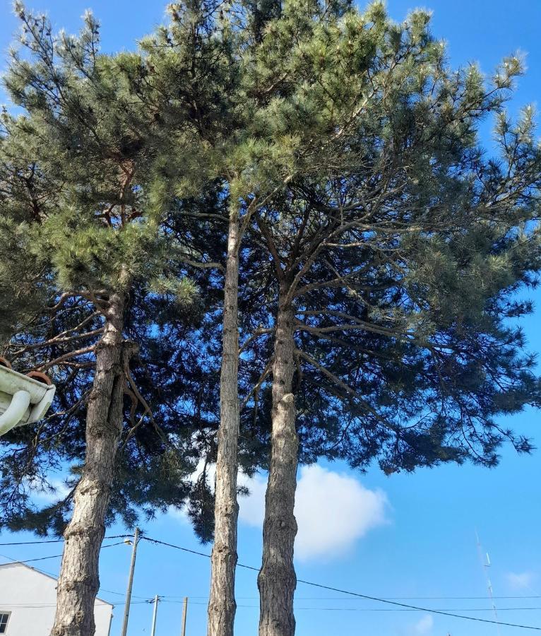 Apartamento Le Stud' à Saint Pierre d'Oléron ! Exterior foto